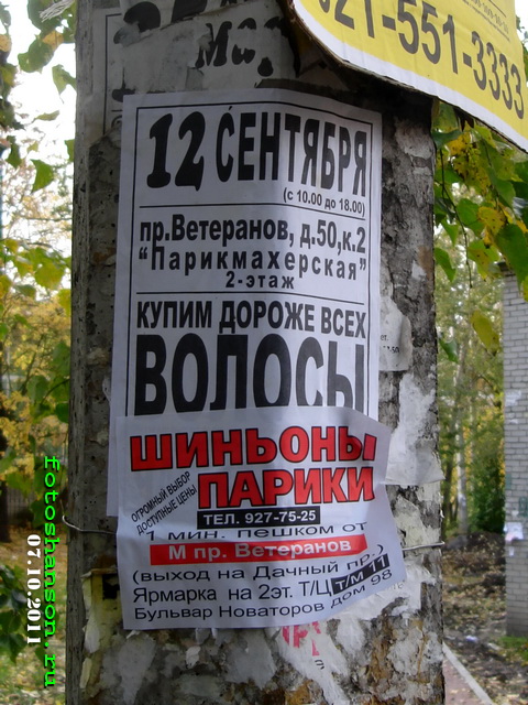 ����� ������, �������, ������