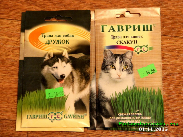 ����� ��� ��������