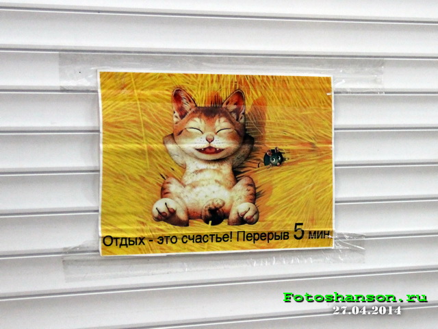 �������