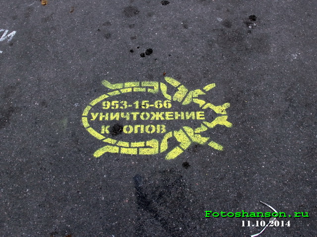 �����������