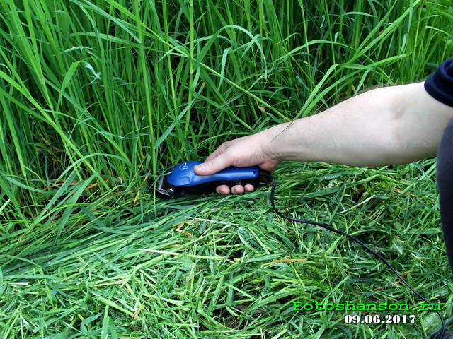 �������������