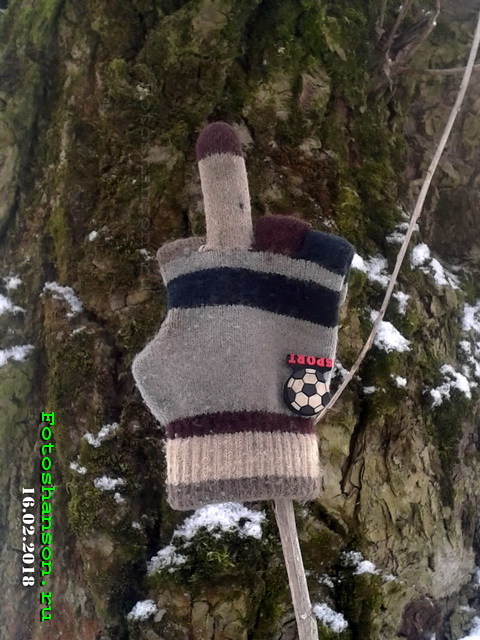 ��������